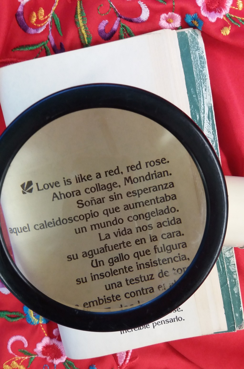 De Laura Gallego Otero y sus amores&nbsp;combatidos